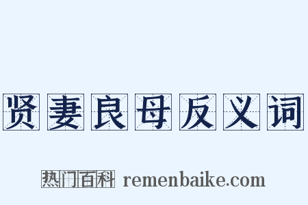 贤妻良母反义词是什么意思的图片